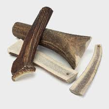 Antler