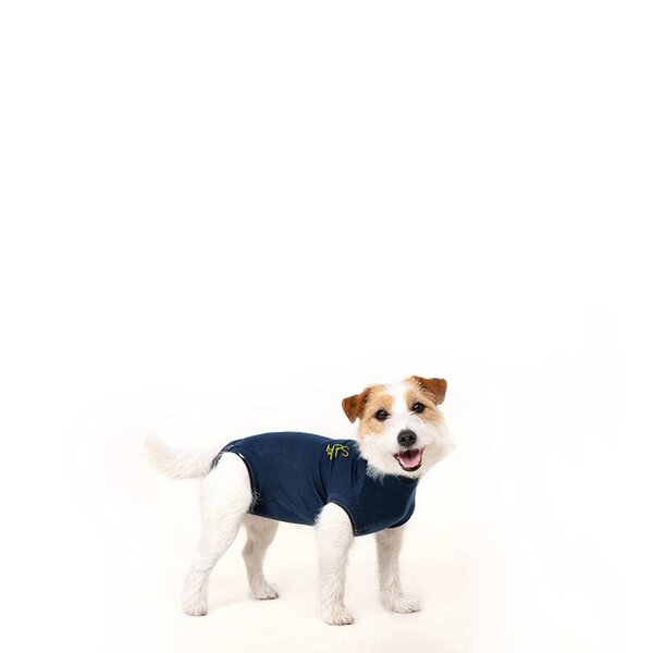 Blue small