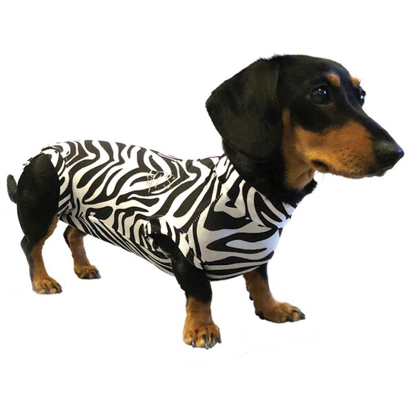 XS Suit Dachs