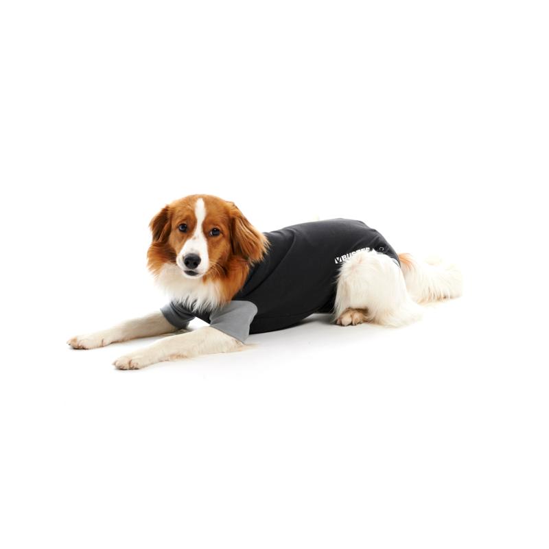 BUSTER Medical Body Suit 'EasyGO' for dogs, black/grey, 41cm, Small - Image 3