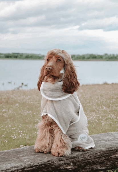 Drying robe for dogs