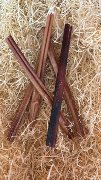 Pizzle stick LONG 25cm