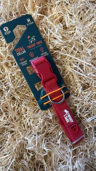 Twiggy Tags collar M Fresia